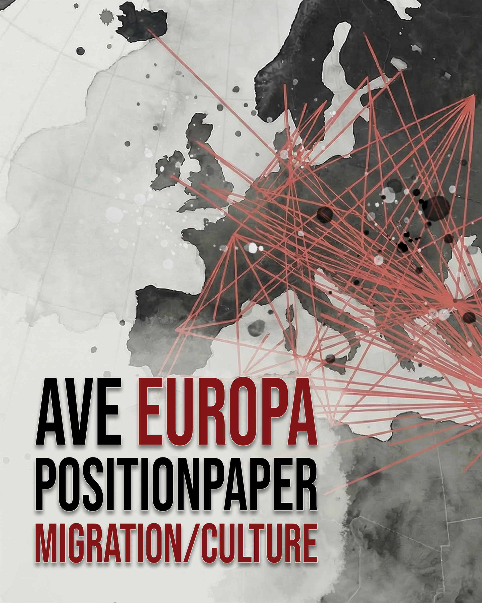 Position paper — The One Europe Strategy